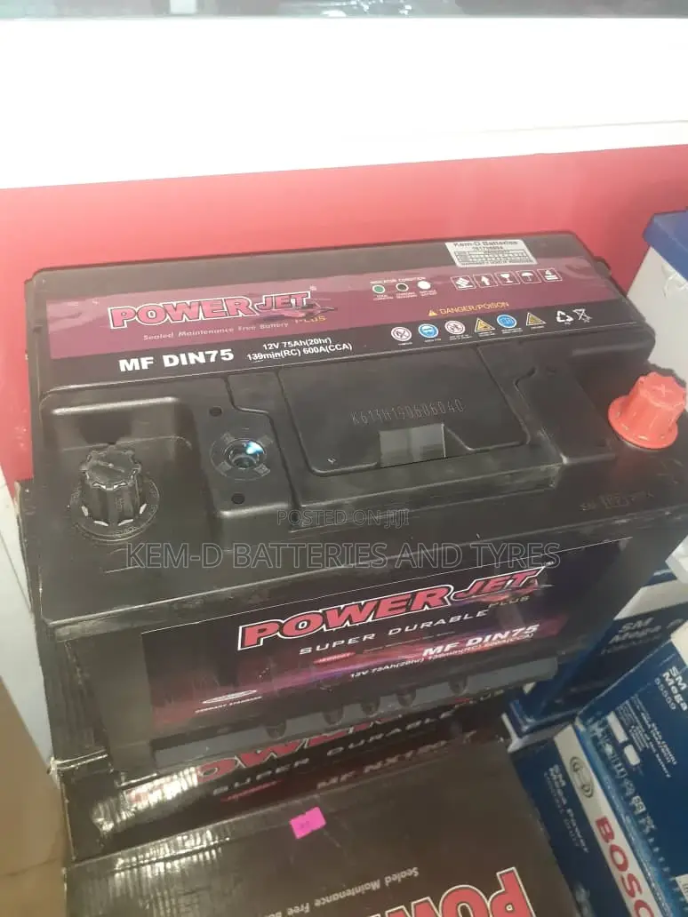 Car Batteries 15 Plates Power Plus Car Battery Free Delivery
