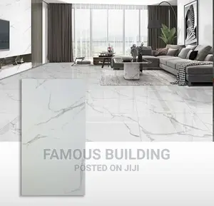 Made in India 60/120 Porcelain Tiles