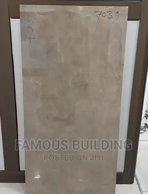 Made in India 60/120 Porcelain Tiles
