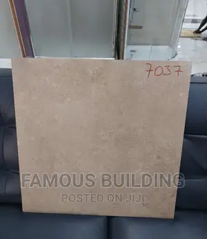 Made in India 60/60 Floor Tiles (Porcelain)