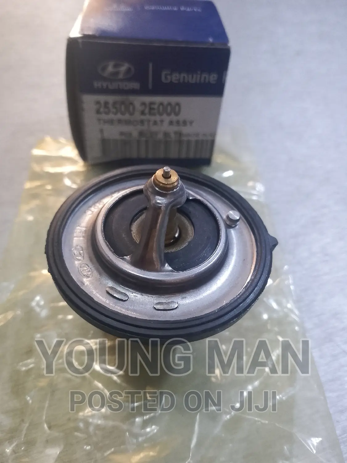 Hyundai Elantra, Sonata, Santafe, Kia Rio Engine Thermostat in Abossey