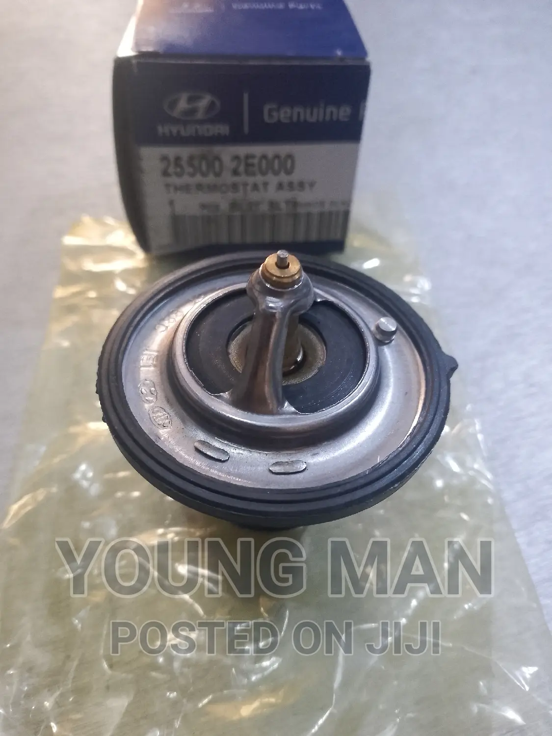 Hyundai Elantra, Sonata, Santafe, Kia Rio Engine Thermostat