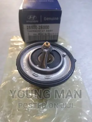 Hyundai Elantra, Sonata, Santafe, Kia Rio Engine Thermostat