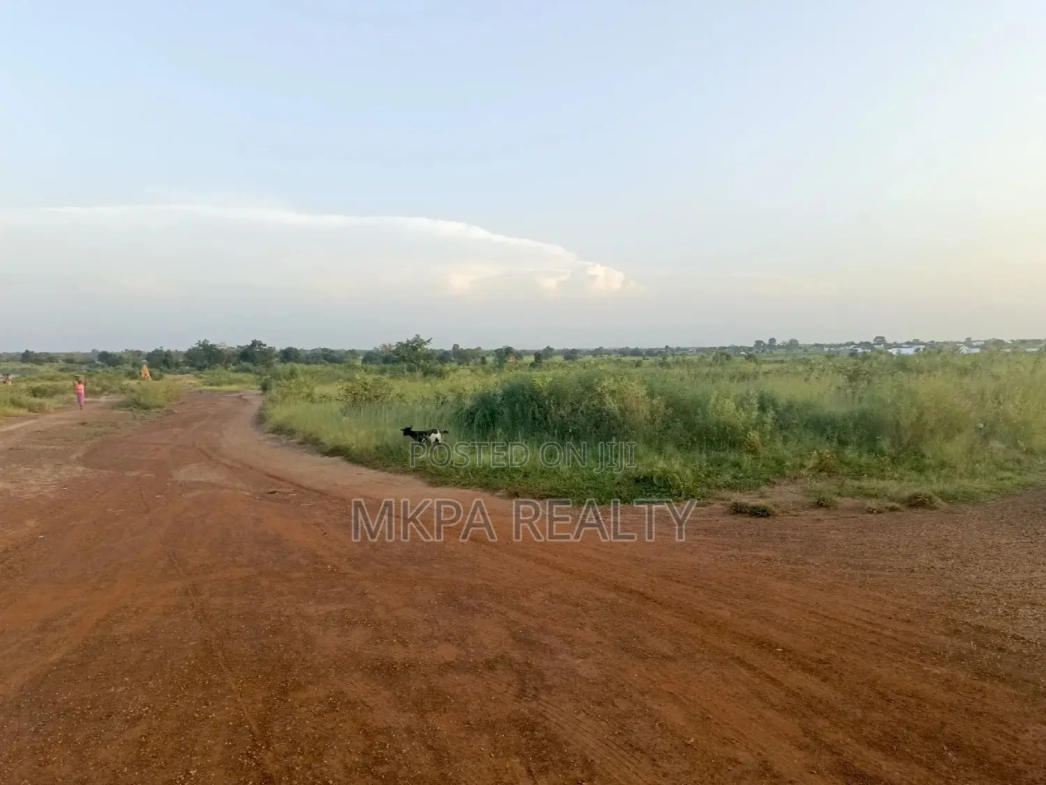 Plot of Land in Tamale, Banvim Manguli Area for Sale