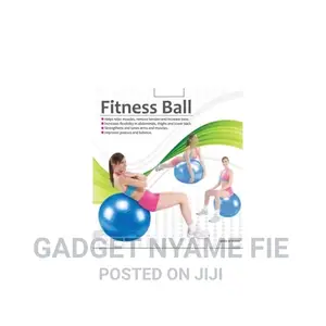 Anti Burst Balance Exercise Ball-Blue-65cm