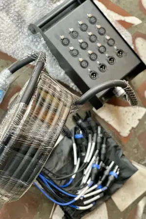 Audiolink / Snake Cable - 12 Channel, 4 Out.
