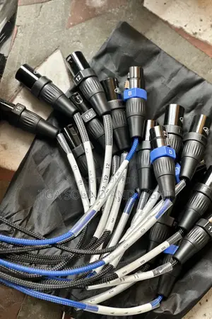 Audiolink / Snake Cable - 12 Channel, 4 Out.