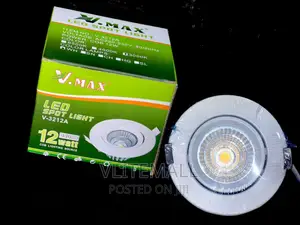 V.Max 12W LED Spot Light