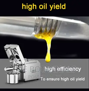 Automatic Oil Press Machine (Hot and Cold Press)
