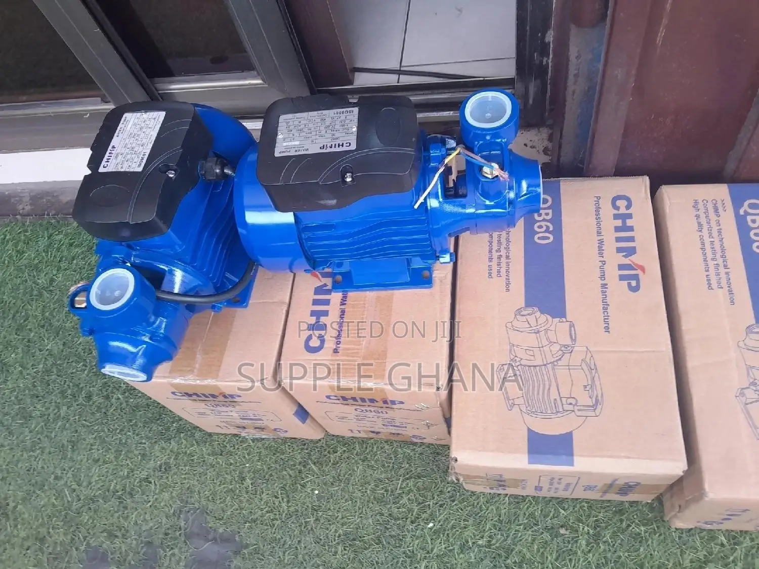 New Chimp Water Pump