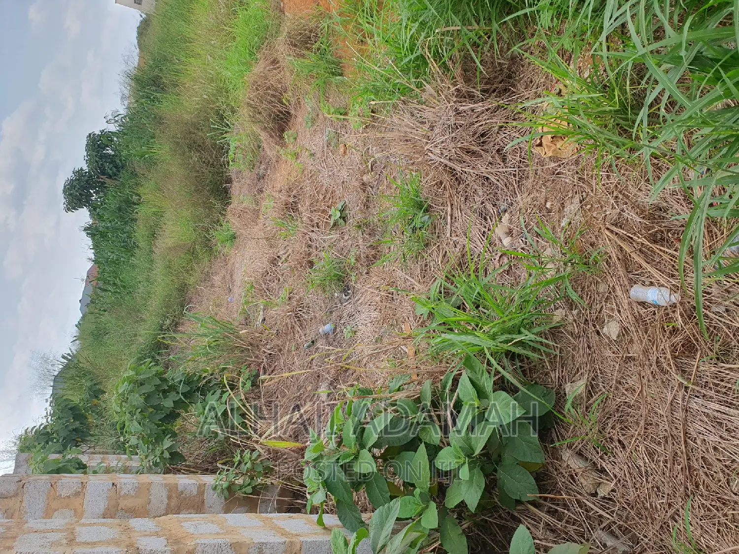Nine Plots for Sale at Darban New Site