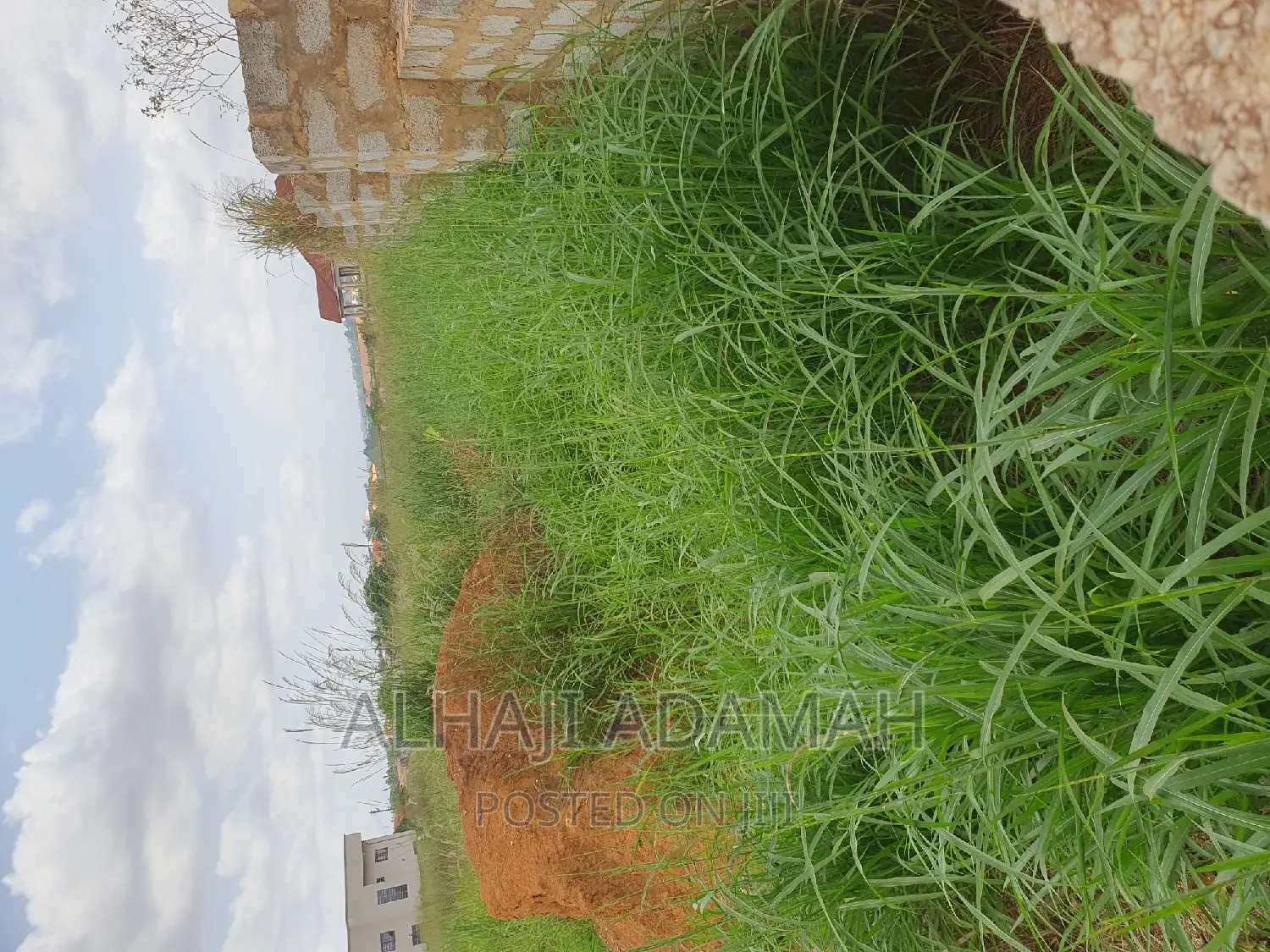 Nine Plots for Sale at Darban New Site