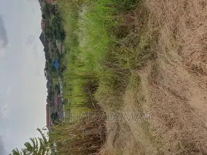 Plot for Sale at Kwadaso Ohwimase Hill Top