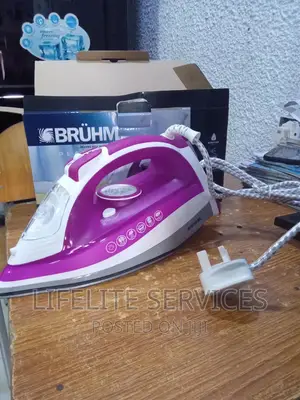 Steam Iron With Overheating Protection