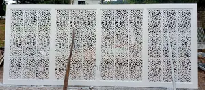 CNS Metal Gate