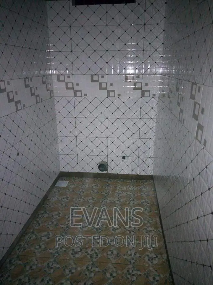Professional Tiles Layer