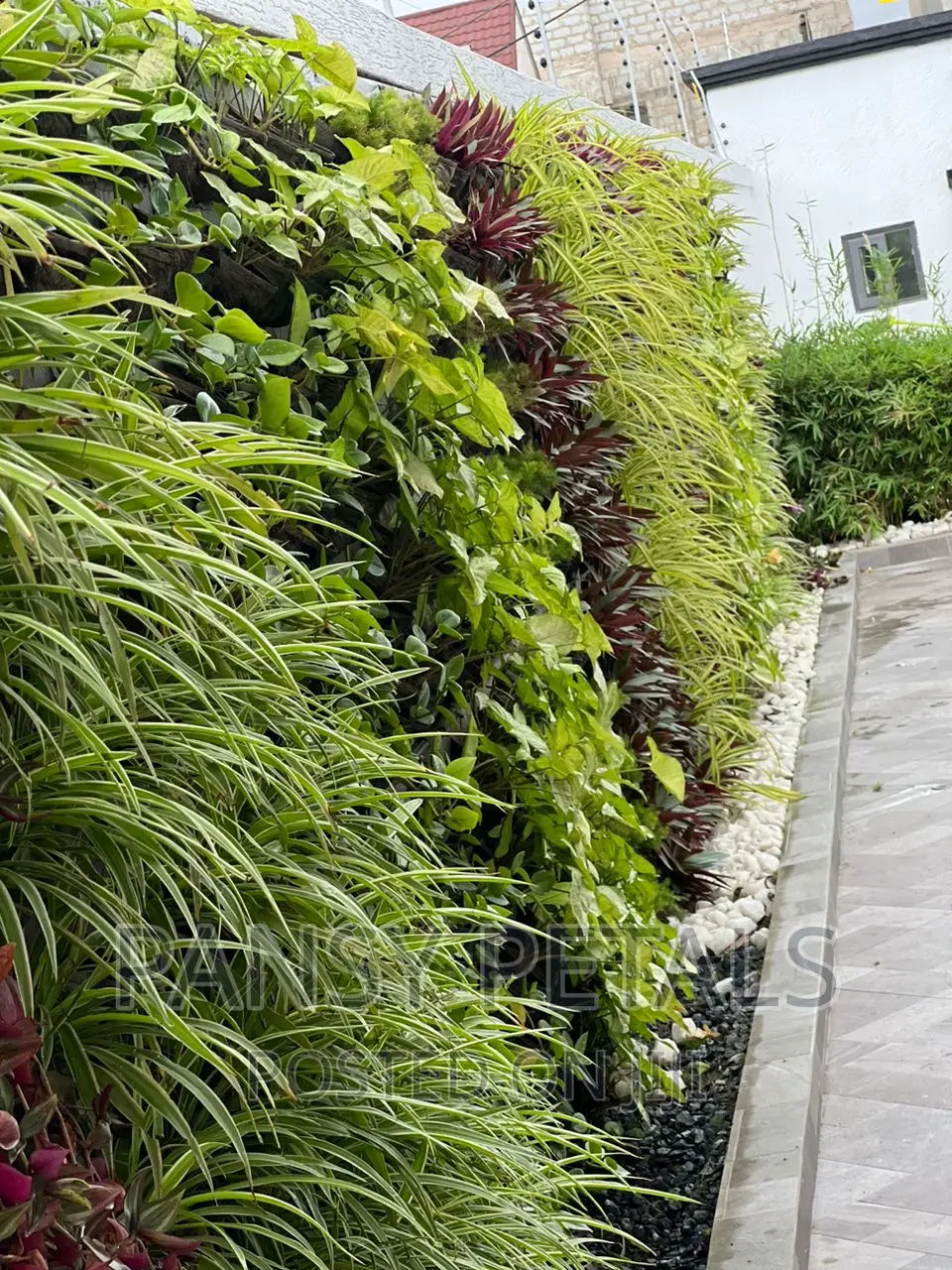 Vertical Garden/Green Wall