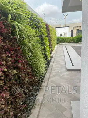 Vertical Garden/Green Wall