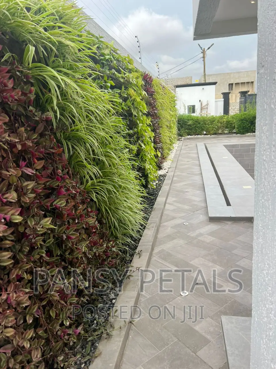 Vertical Garden/Green Wall