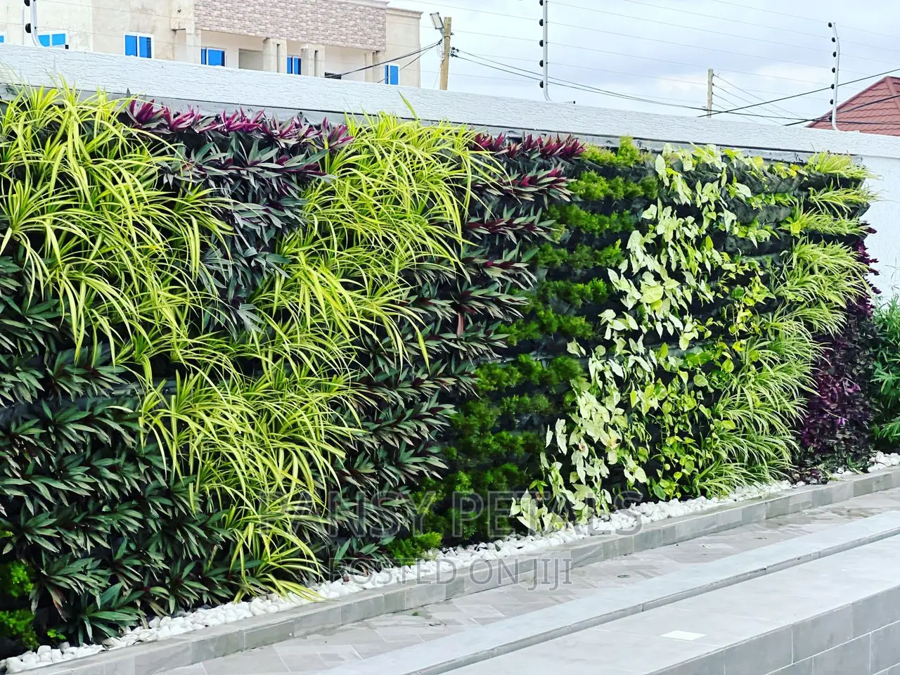 Vertical Garden/Green Wall