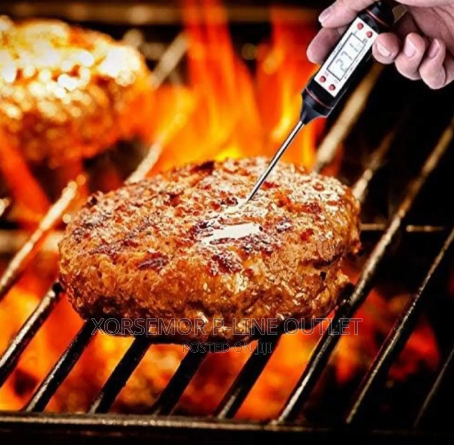 Digital Kitchen Thermometer -50°c to 300°C