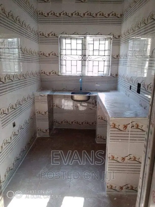 Professional Tiler