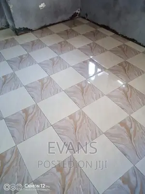 Professional Tiler