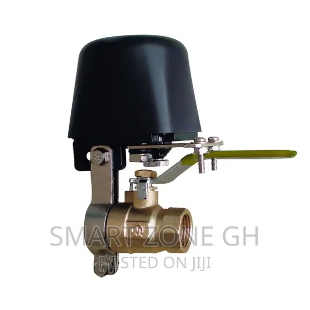 Smart Water Valve Controller
