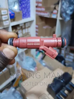 Hyundai Elantra, Sonata, Kia Rio, Santafe, Fuel Injectors