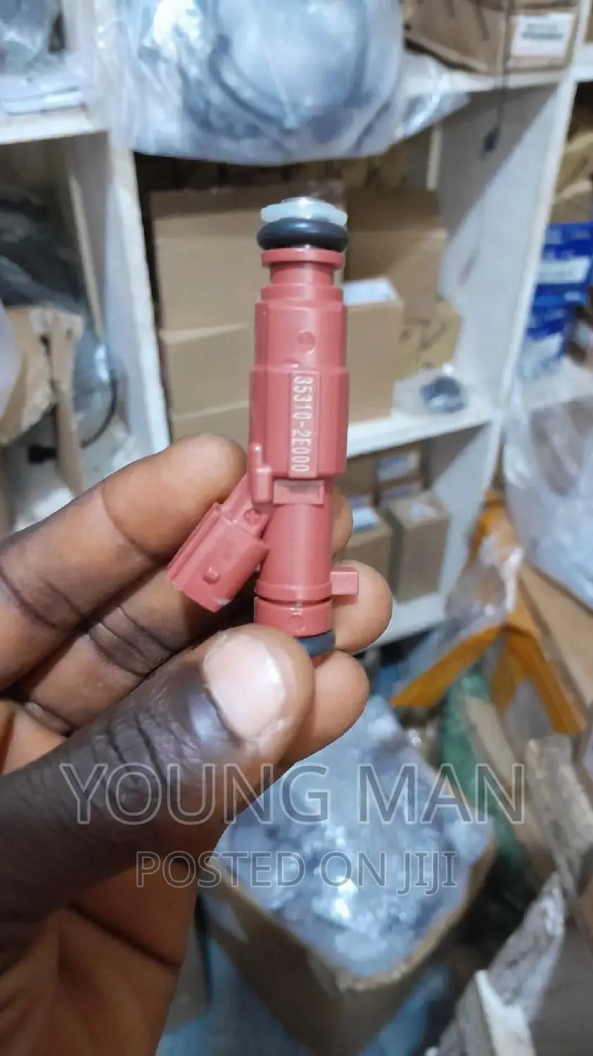 Hyundai Elantra, Sonata, Kia Rio, Santafe, Fuel Injectors