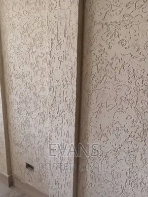 Professional P.Op, Grafiato and Plaster Board
