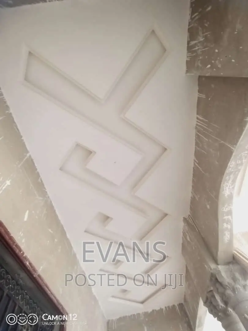 Professional P.Op, Grafiato and Plaster Board