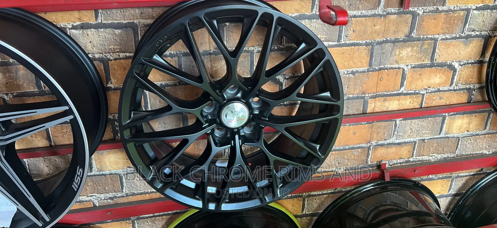 Camry Spider