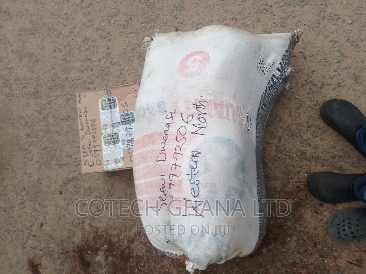 Treated Coconut Fiber With Bio Enzymes
