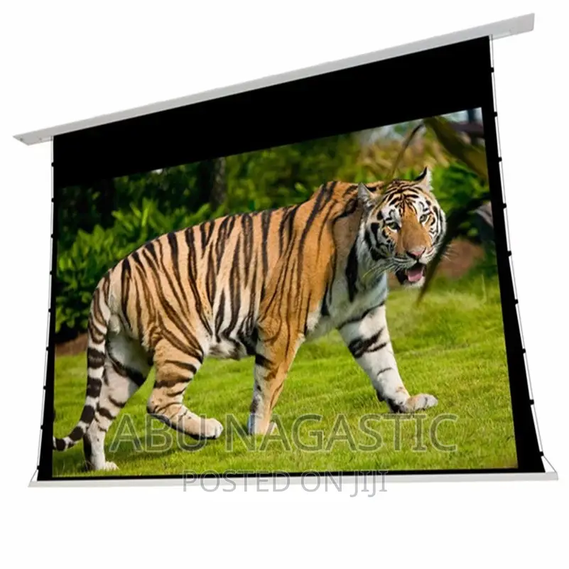 Electric Projector Screen 180x180