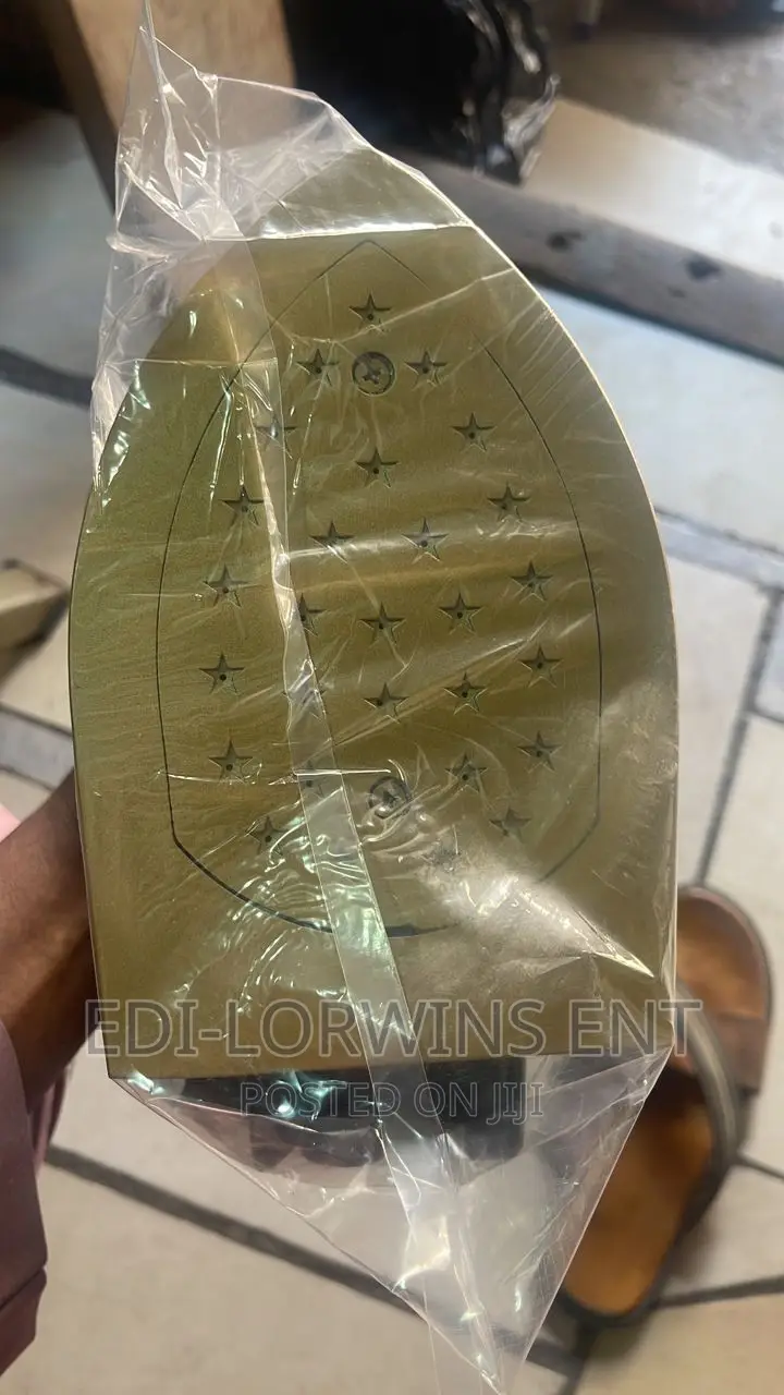 Dongsung Industrial Gravity Steam Iron