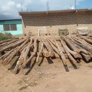 Treated Light Poles For Sale And We Install Them Too