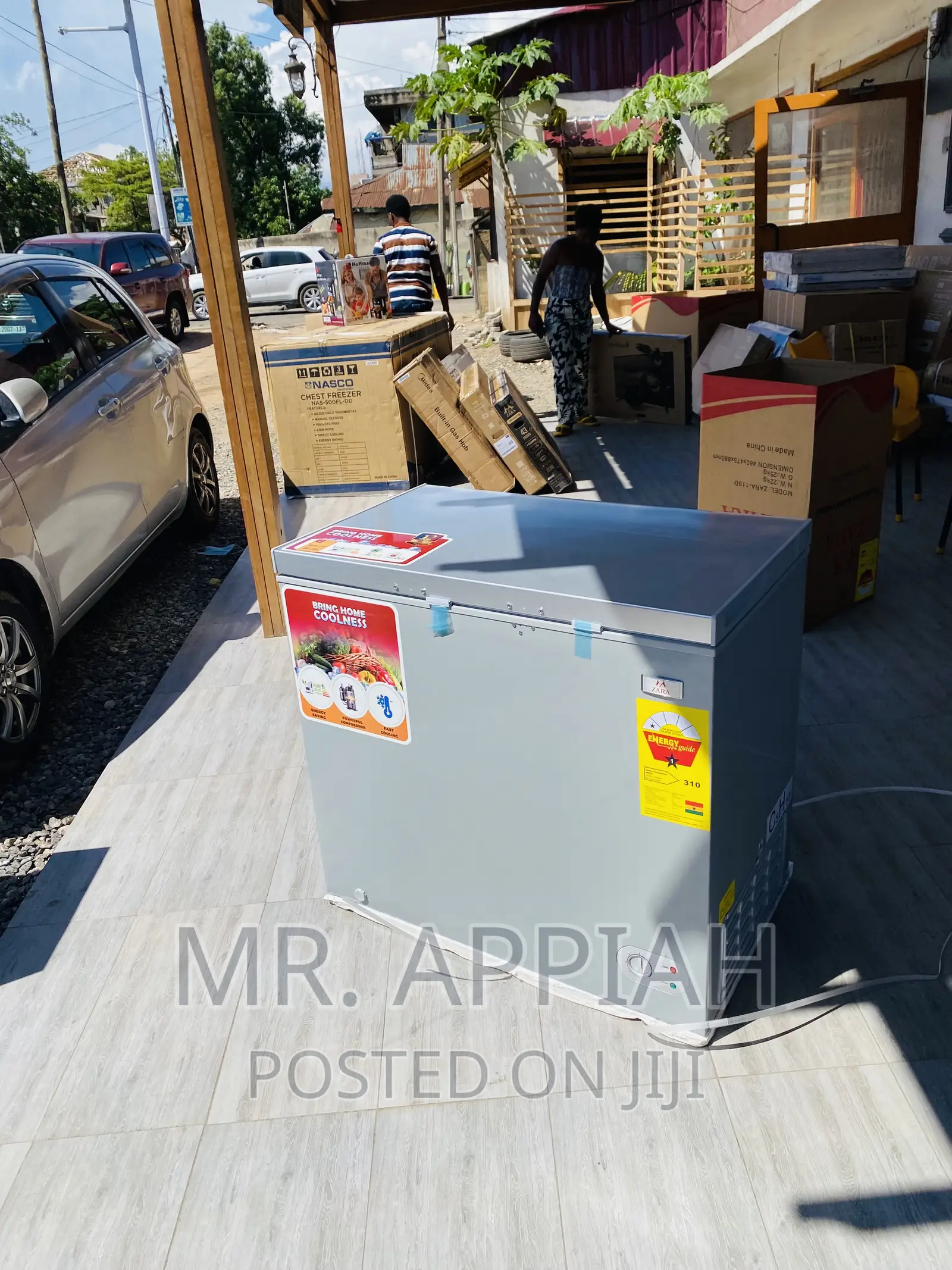 Quality Yet Affordable Zara260 1 Door Electric Freezer,Gray
