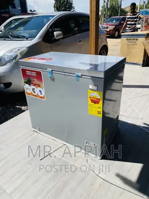 Well Designed Zara 260 Single Door Electric Freezer(Gray).