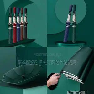 Plain Automatic Umbrellas