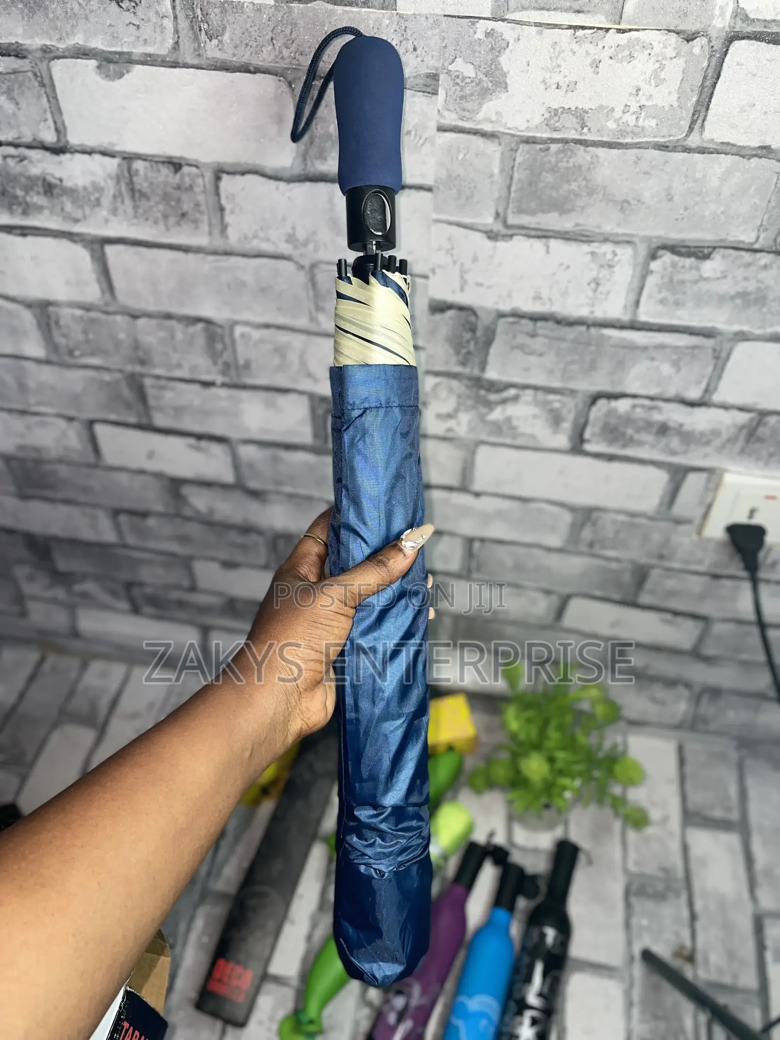 Plain Automatic Umbrellas