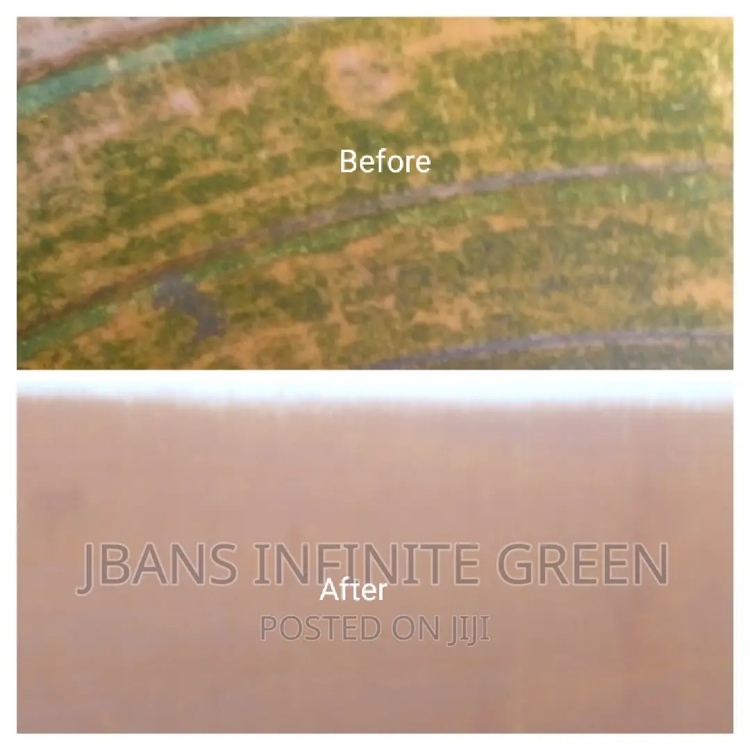 Water Tank Cleansing