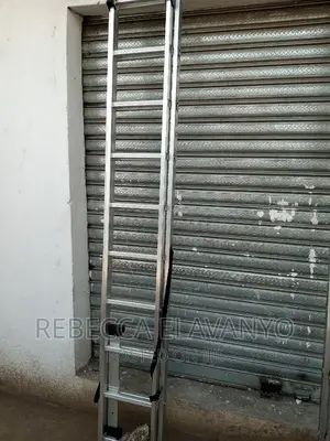 Two in One Aluminum Ladder