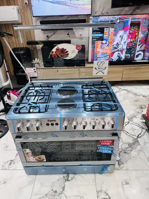 2-4 Electric Cooker Oven Rotisserie Ferre Gas