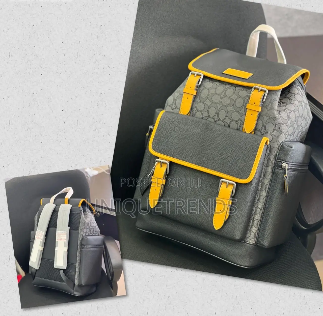 High-End Luxury Designer Backpacks