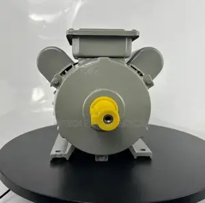2hp (1.5kw) Single Phase Electric Motor