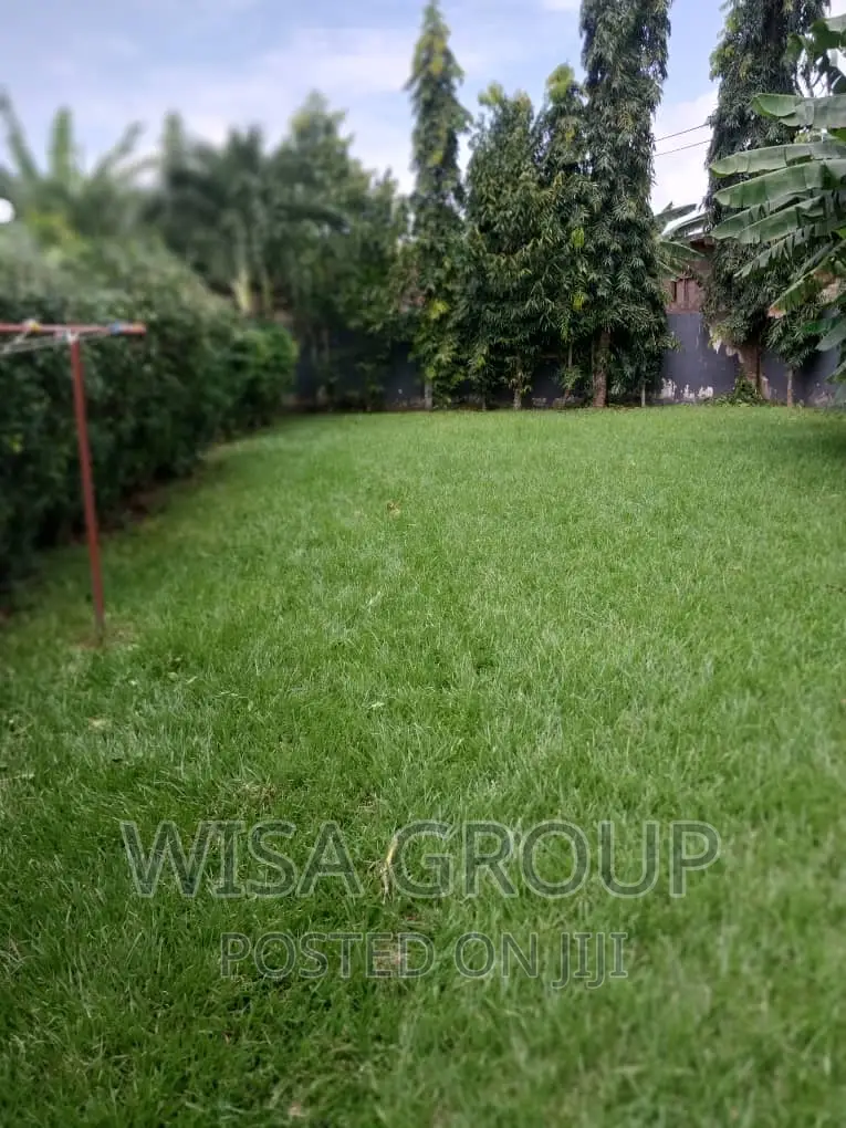 3bdrm House in Wisa Groups, Accra Metropolitan for rent
