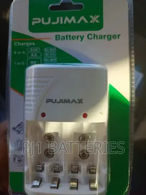 Pujimax AA Charger