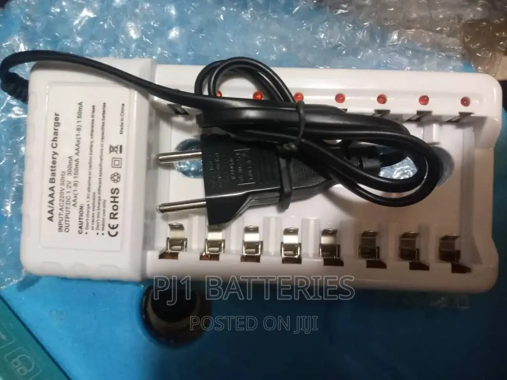 AA 10 Slot Charger