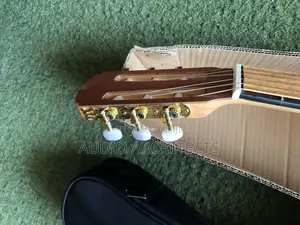 Alvera Acoustic Lead Guitar
